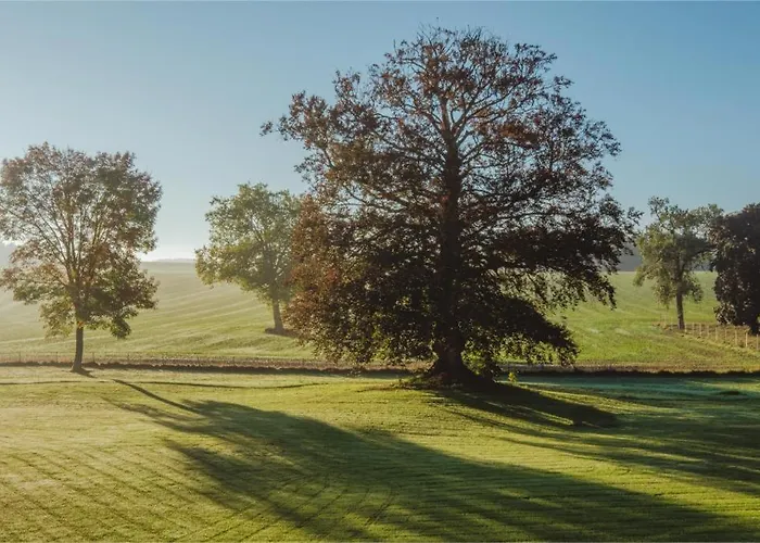 Tatil Evi Chateau D'ouffet 30 Personnes Avec Piscine Et Sauna
